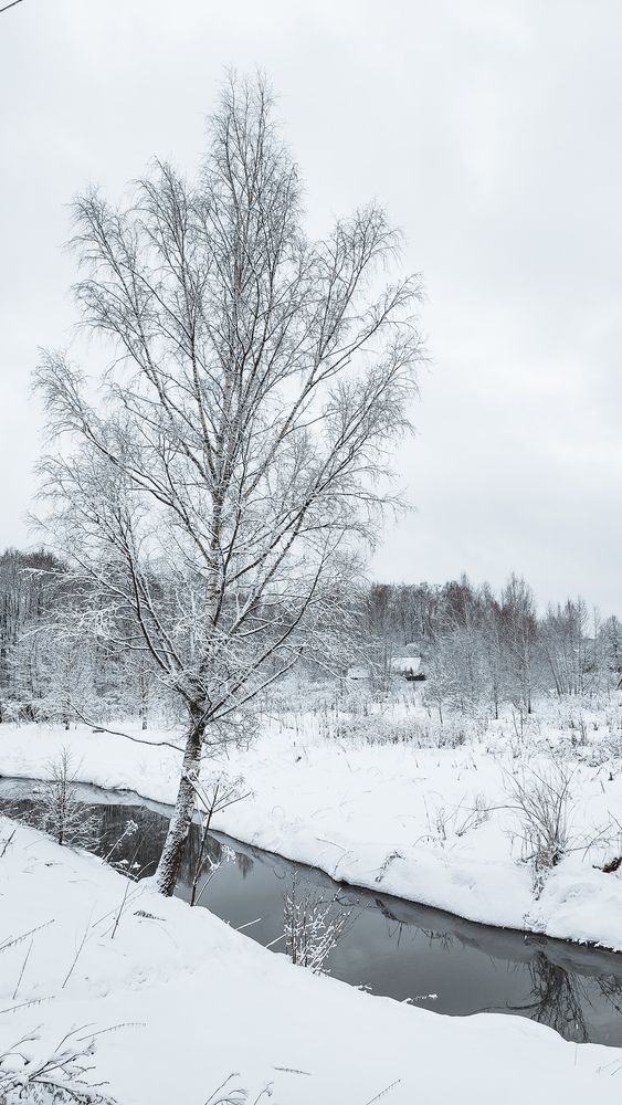 Photograph by Екатерина Никитина