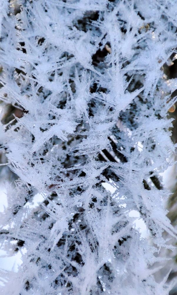 Photograph by Полина Скурская