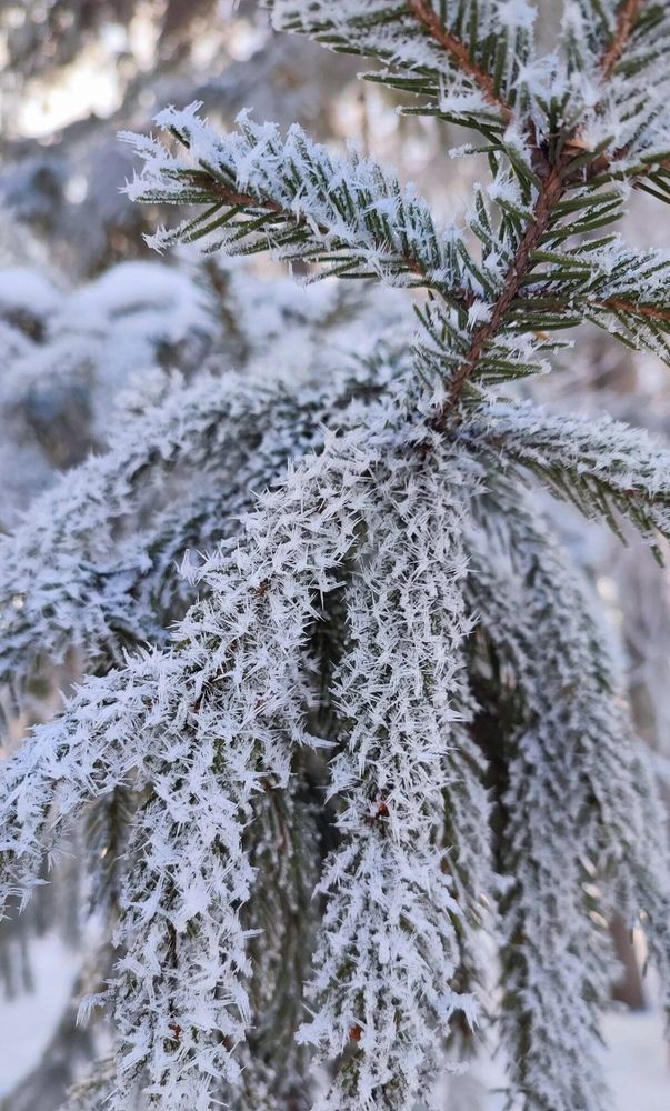 Photograph by Полина Скурская