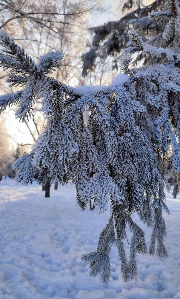 Photograph by Полина Скурская