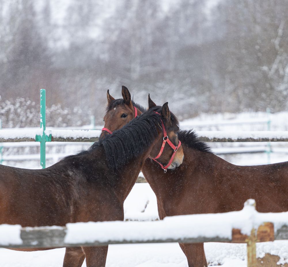 Фотография автора Алина Руденко