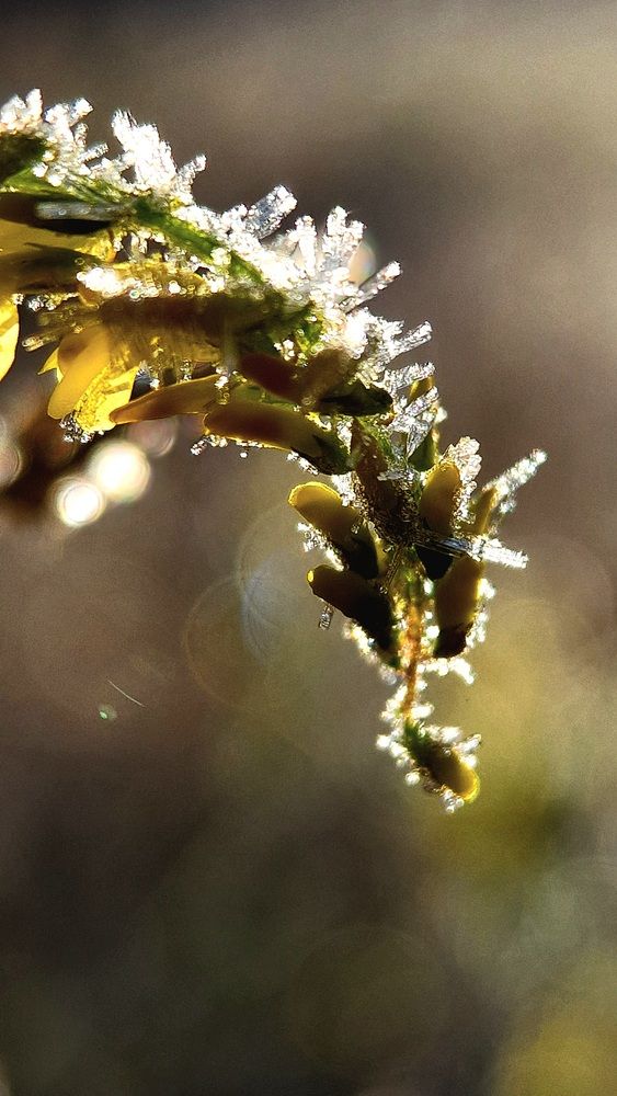 Photograph by Дарья Агапова