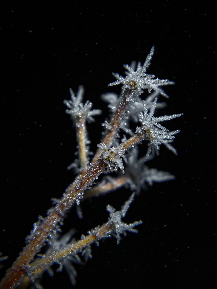 Фотография автора Наталья Алексеева