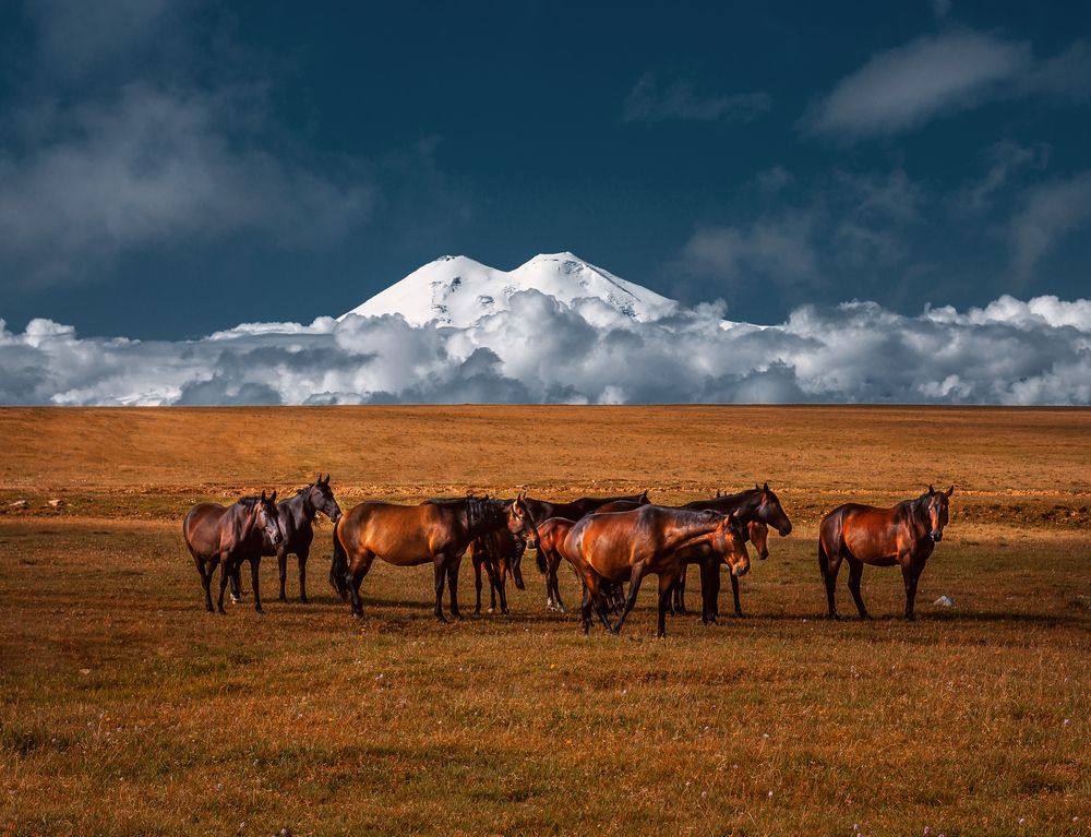 Photograph by Мазурева Анастасия