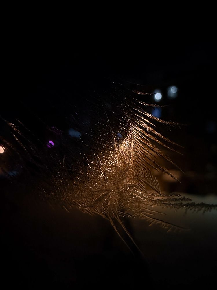 Photograph by Ярослава Васильева