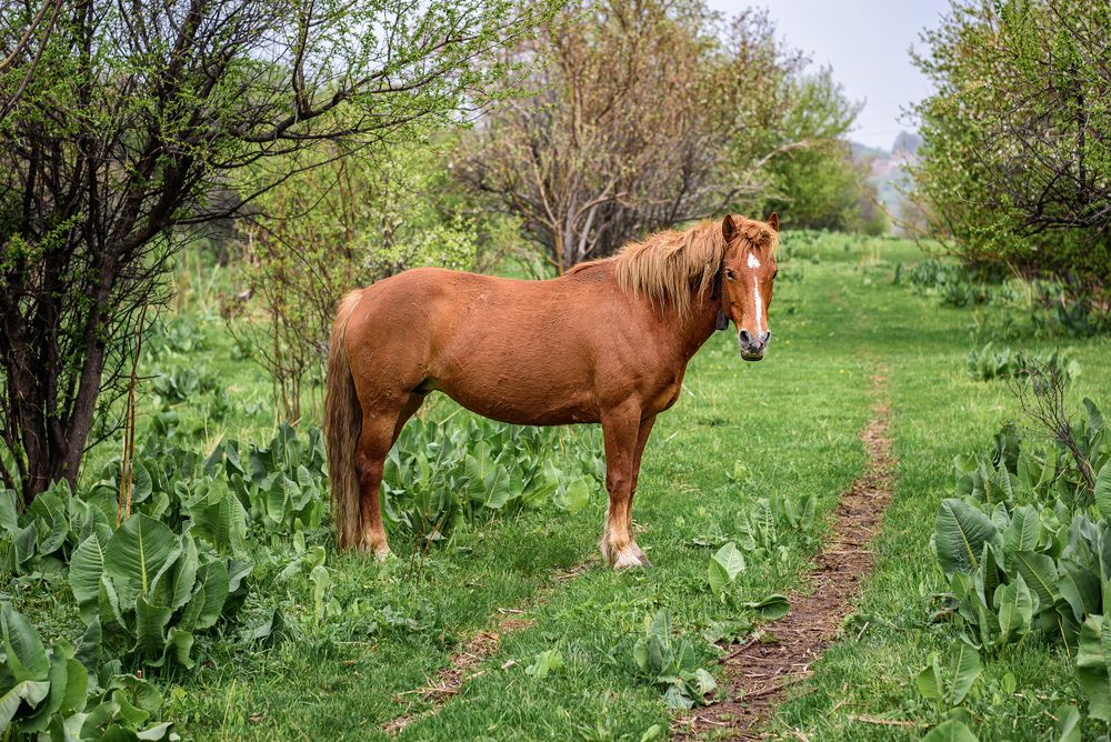 Фотография автора Алексей Торлопов