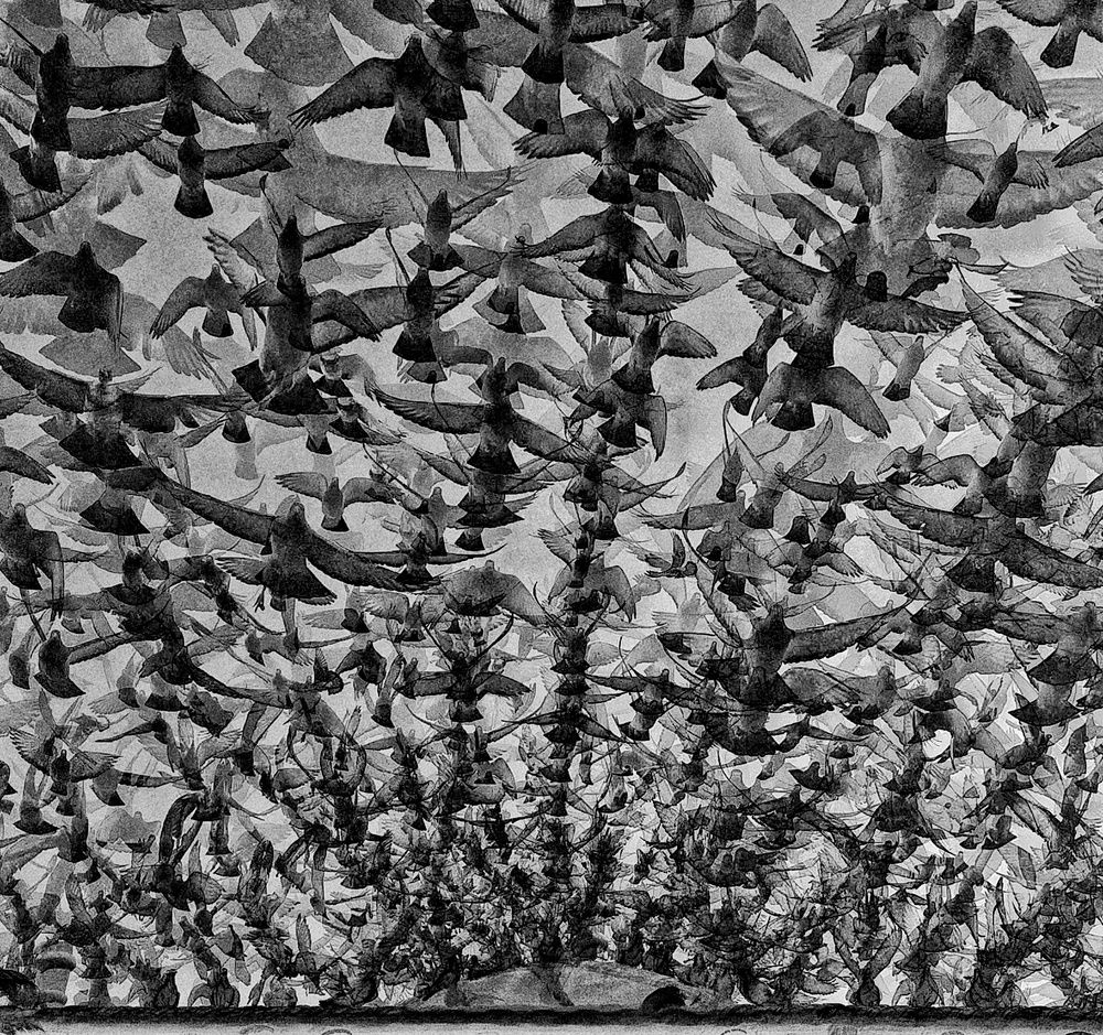 Photograph by Dimitris Lapousis