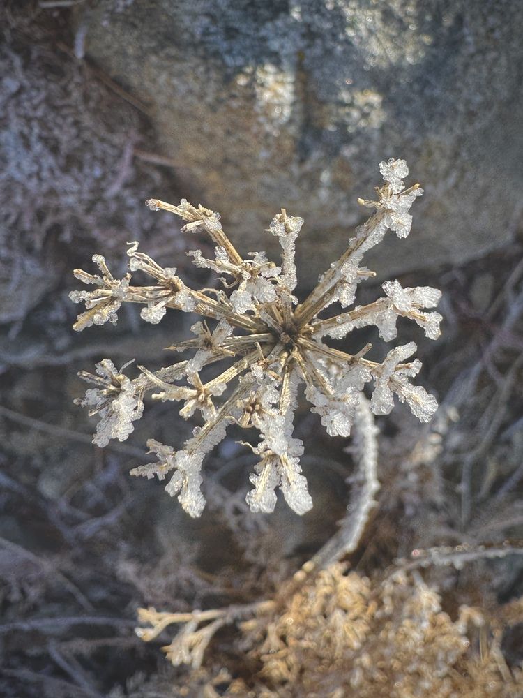 Photograph by Ксения Юртаева