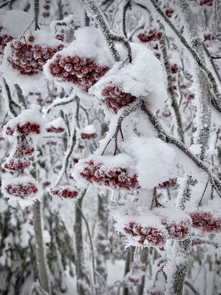 Photograph by Ксения Юртаева