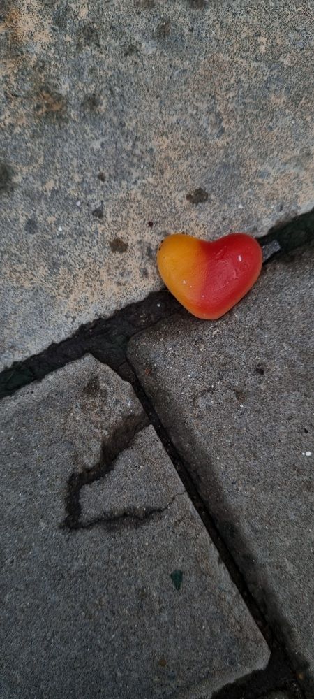 Фотография автора Светлана Рыжих