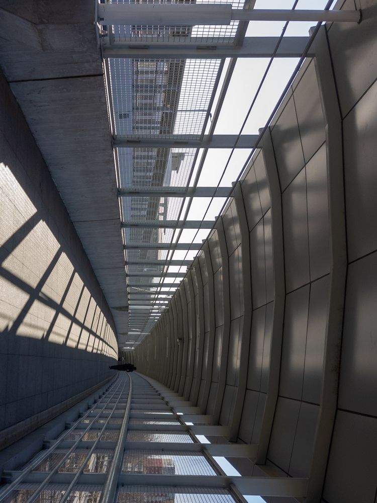 Photograph by lee pound