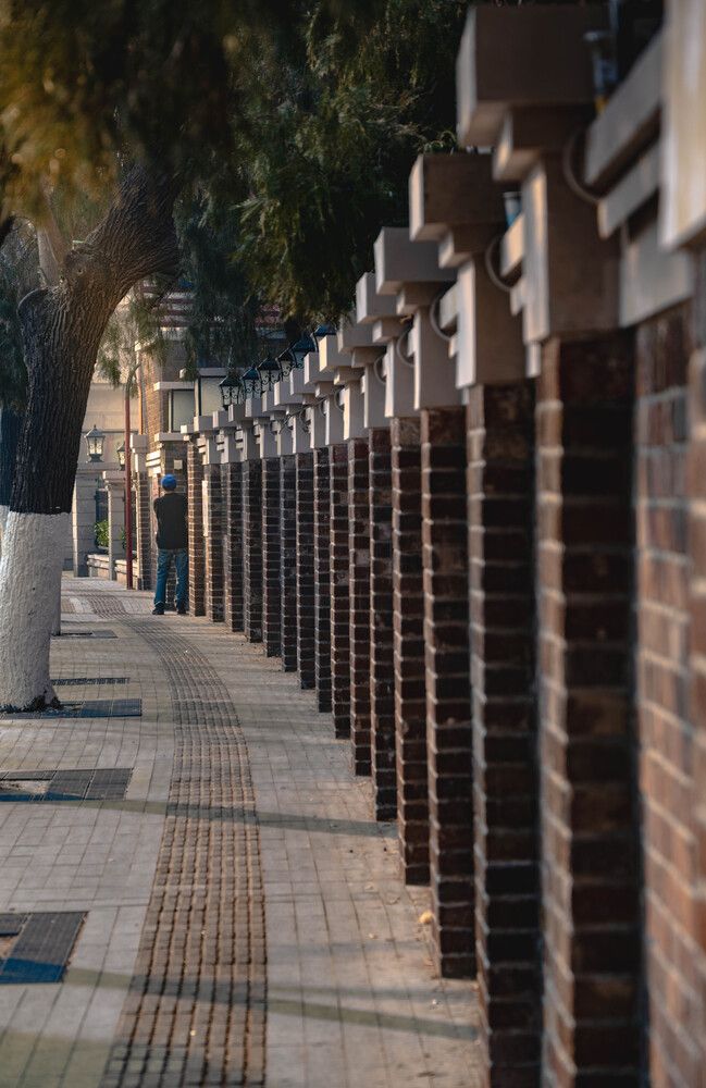 Photograph by lee pound