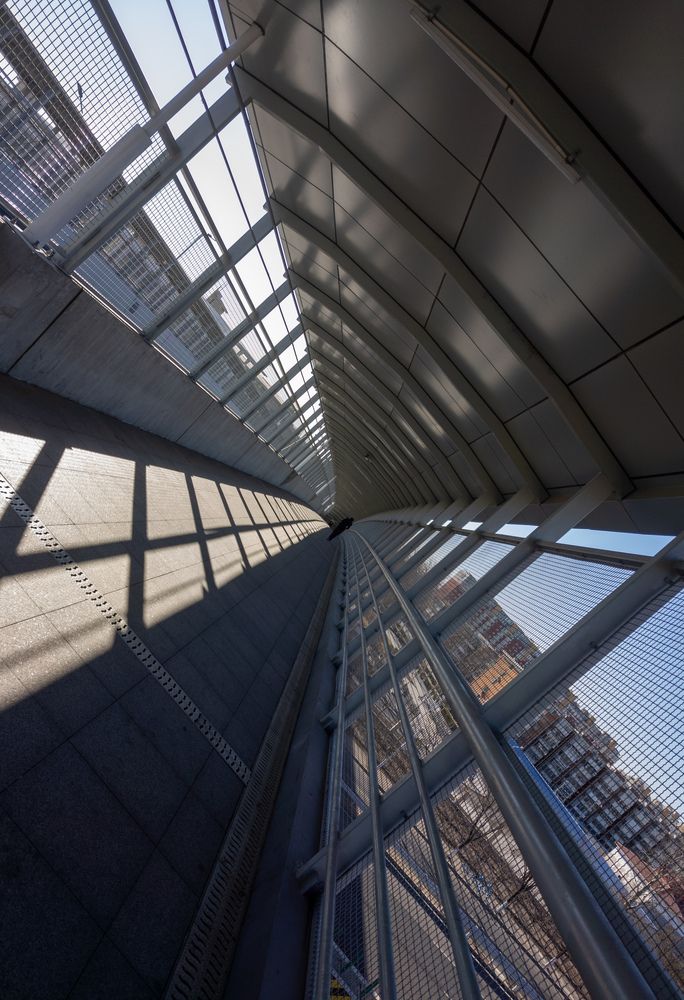 Photograph by lee pound