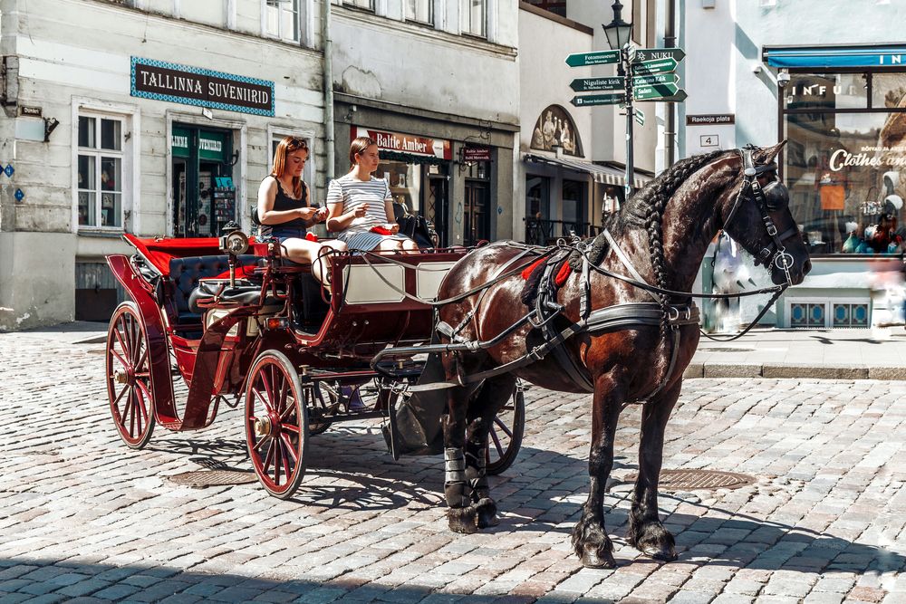 Photograph by Вадим Маслов