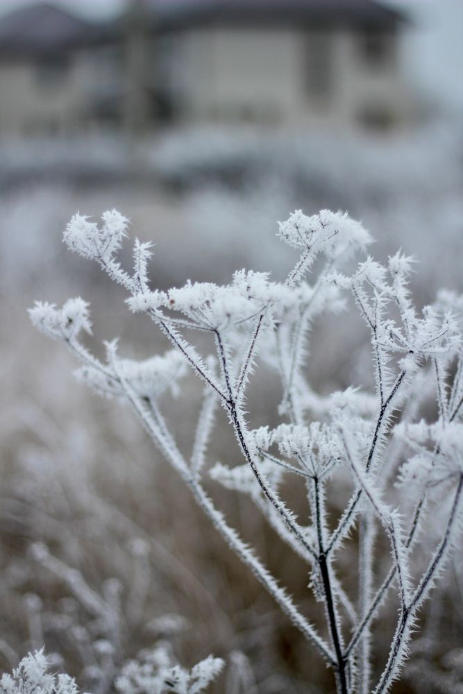 Photograph by Николай Илясов