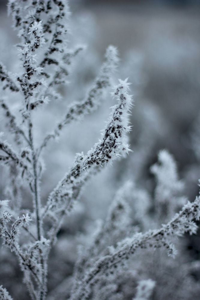 Photograph by Николай Илясов