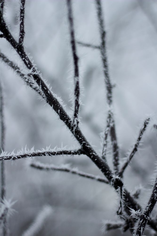 Photograph by Николай Илясов