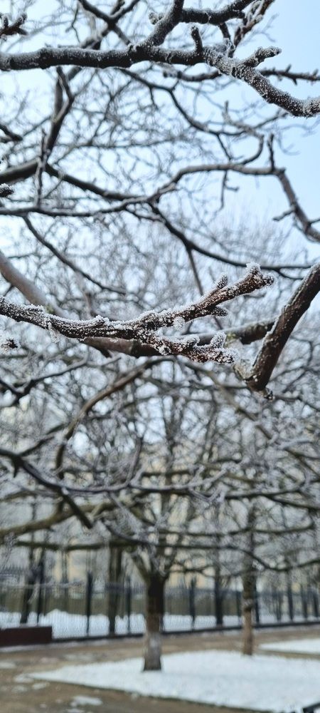 Фотография автора Светлана Рыжих