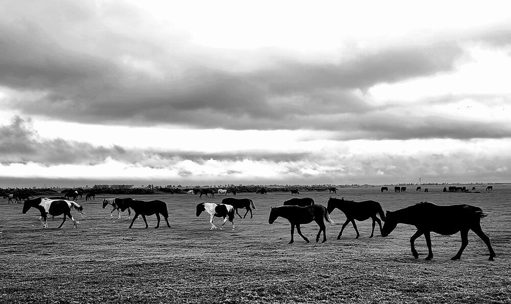 Photograph by Sam Esfahani