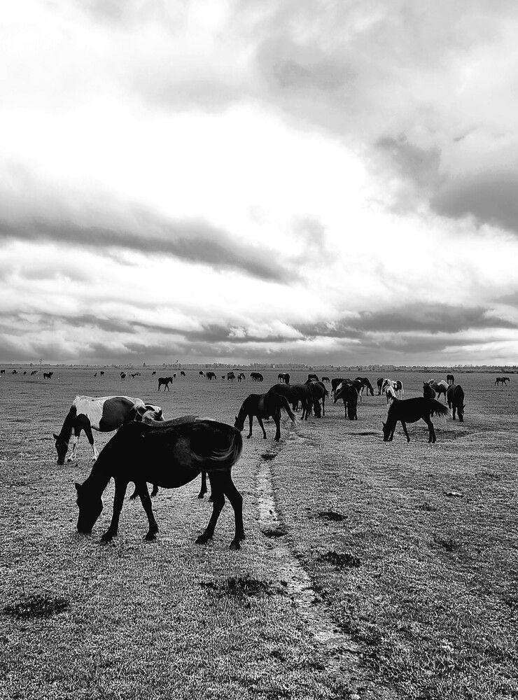 Photograph by Sam Esfahani