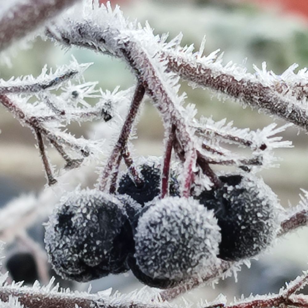 Photograph by Евгения