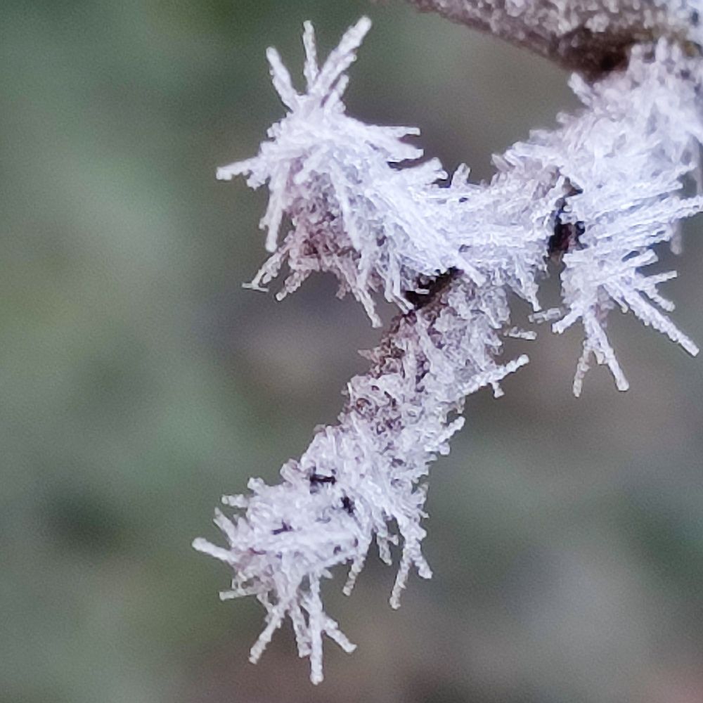 Photograph by Евгения