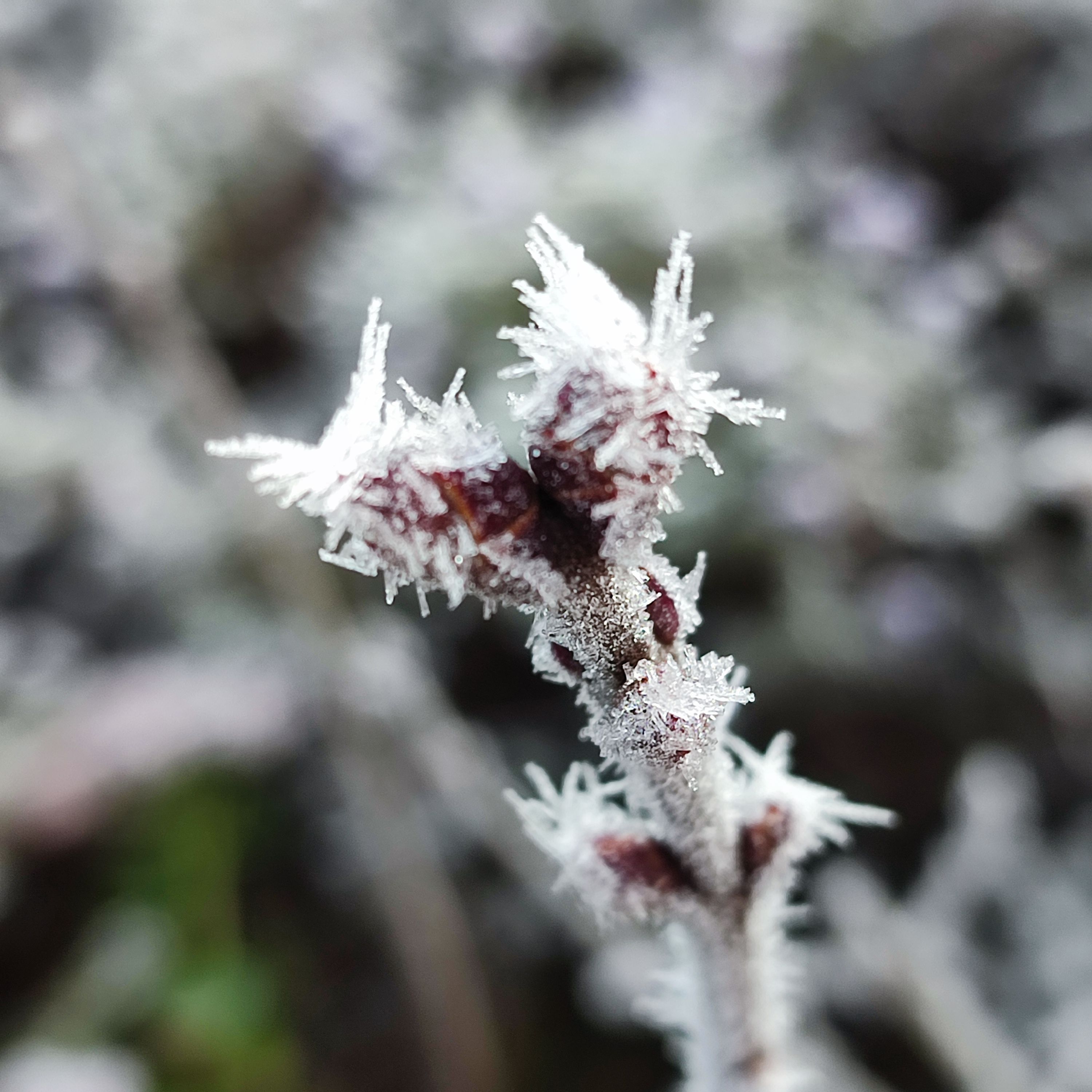 Photograph by Евгения