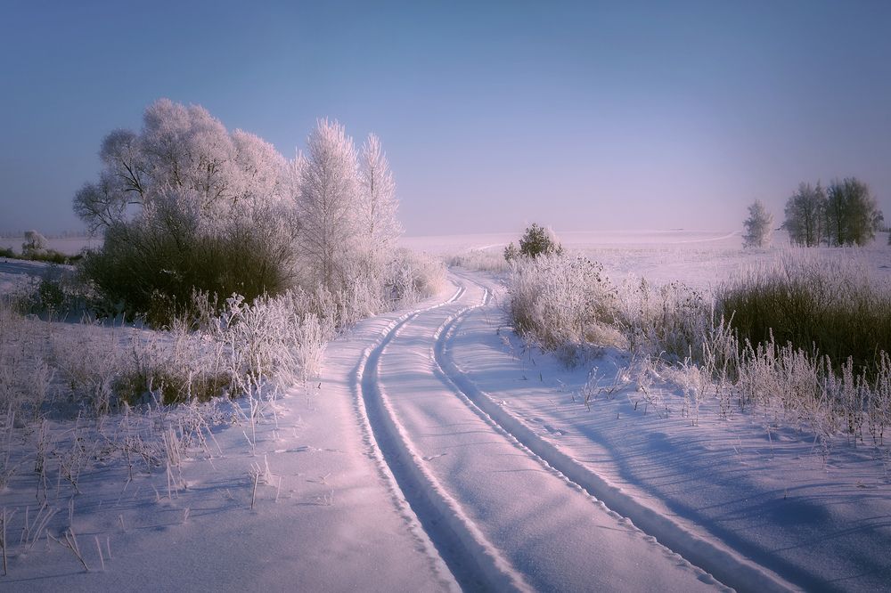 Photograph by Светлана Урманцева