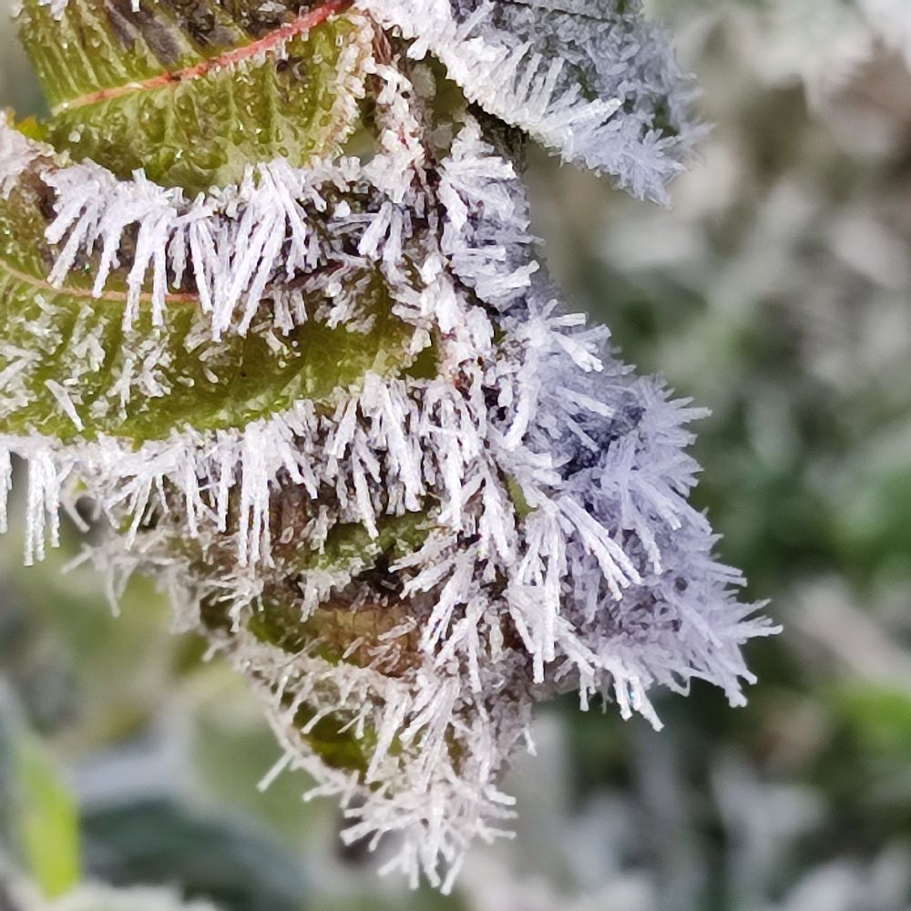 Photograph by Евгения