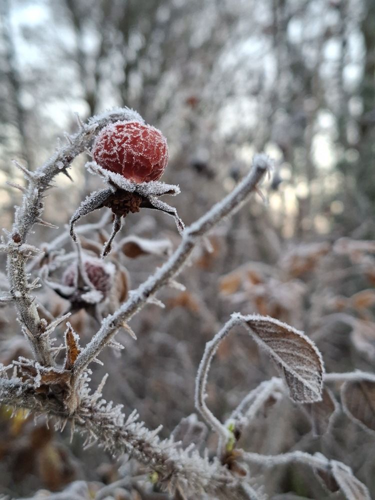 Фотография автора Оксана Зибзибадзе