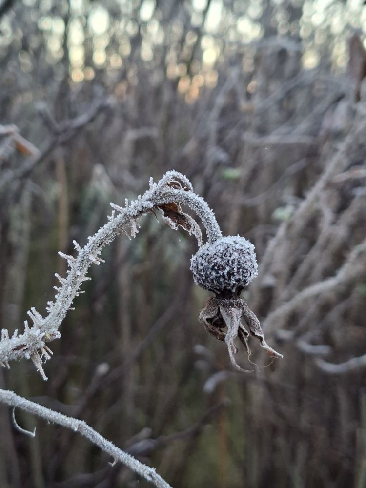 Фотография автора Оксана Зибзибадзе