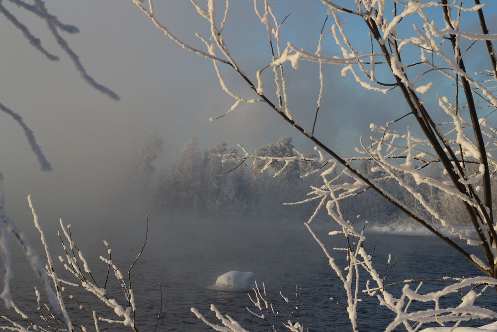 Photograph by Наталья Шевелева