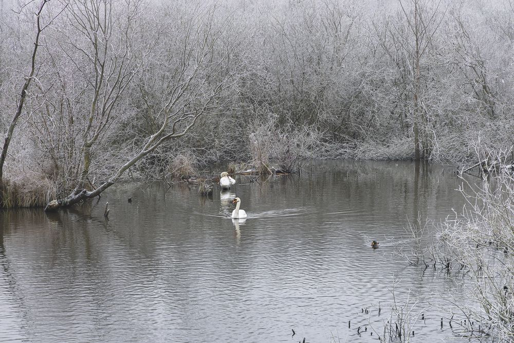 Фотография автора Вадим Копилец
