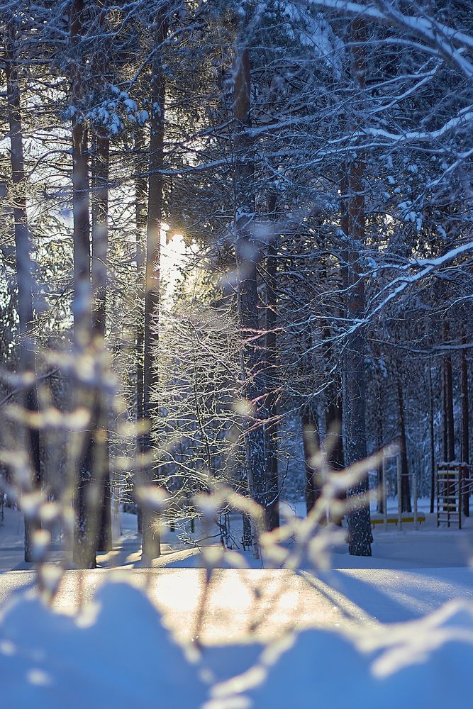 Photograph by Наталья Шевелева