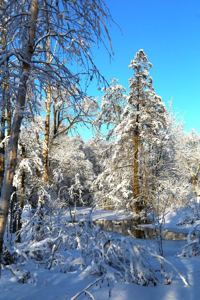 Photograph by Владимир Кулешов