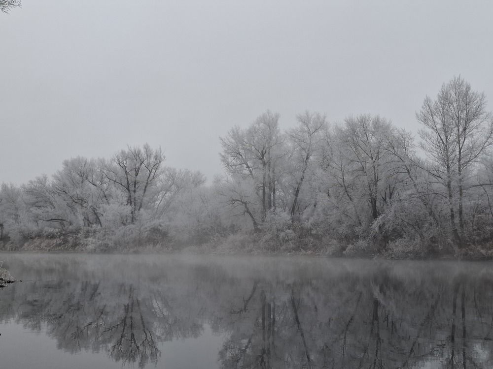 Photo #13010415
