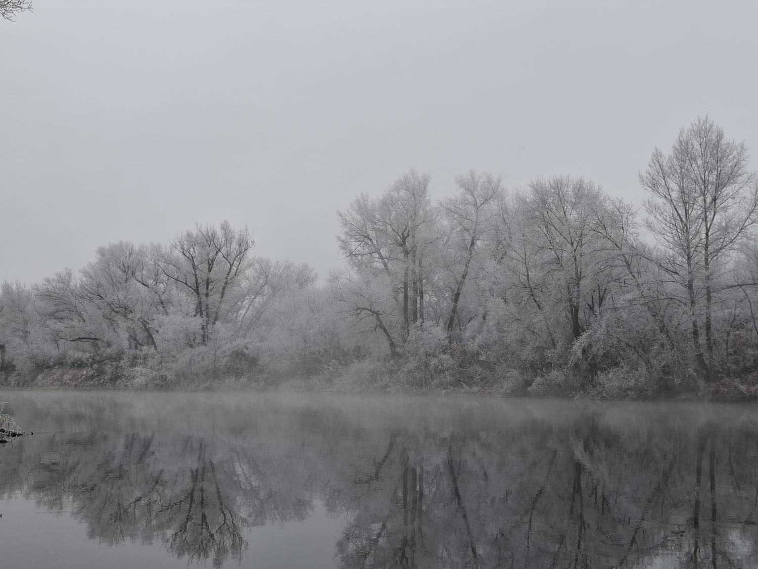 Photo #13010415