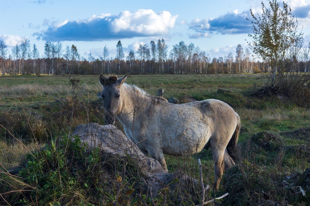 Фотография автора Вадим Копилец