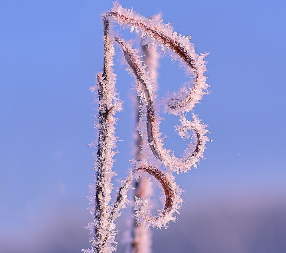 Зимние вензеля