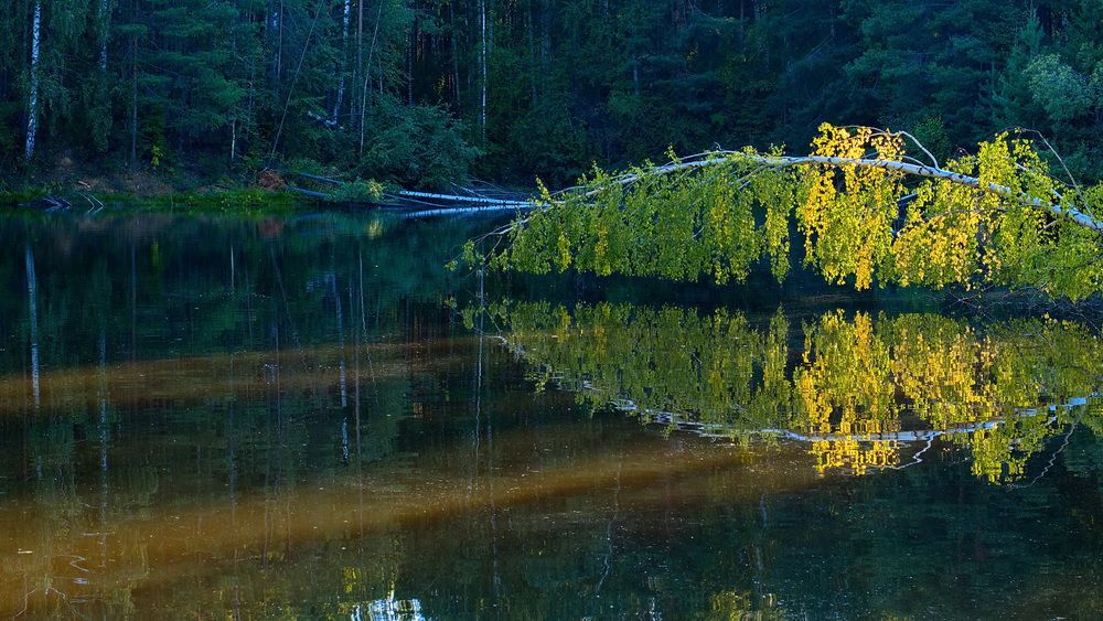 Photograph by Бьёрк