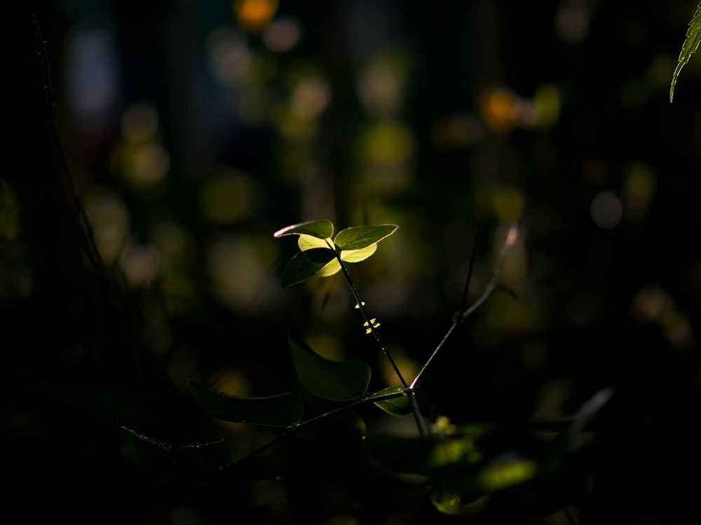 Photograph by Бьёрк