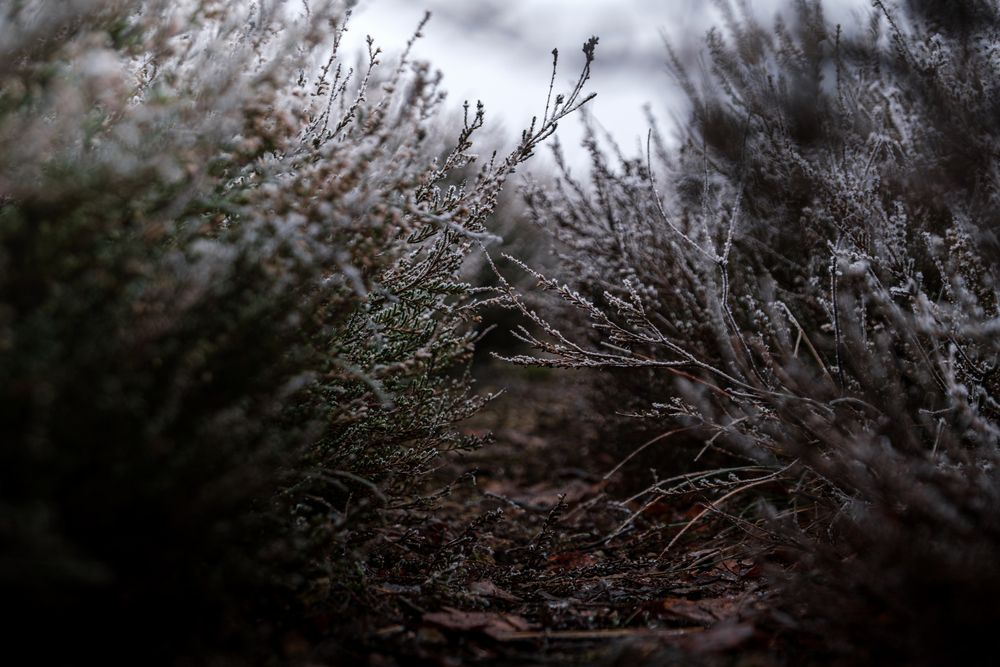 Photograph by Veronika Biró