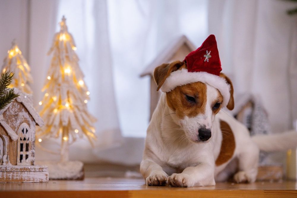 Photograph by Ольга