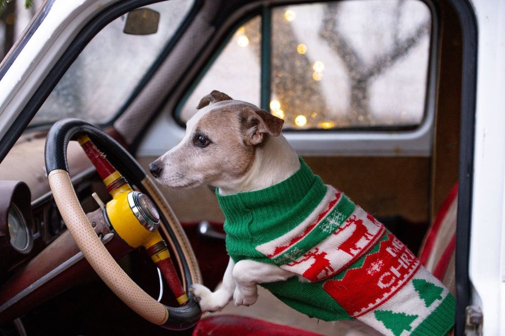 Photograph by Ольга