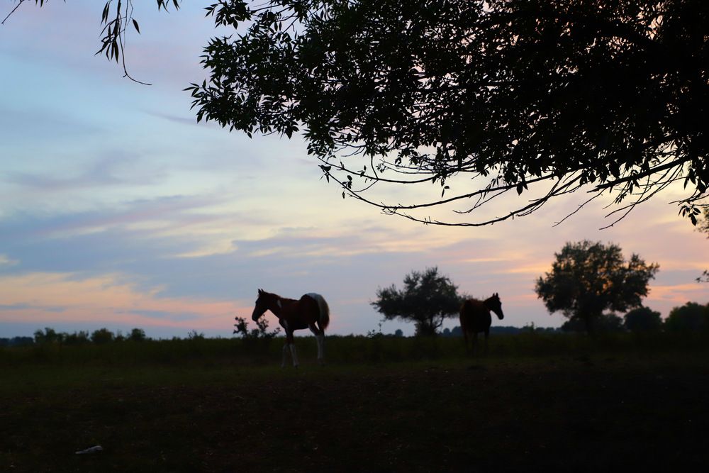 Фотография автора Татьяна Салиева