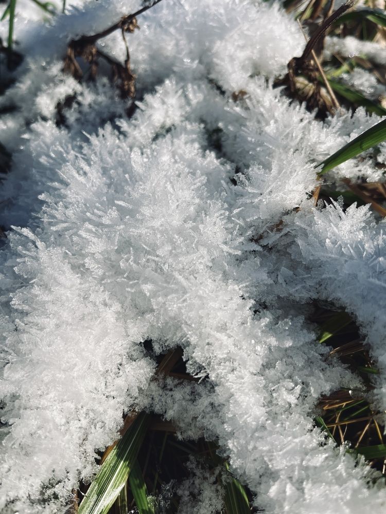 Photograph by Екатерина Усольцева