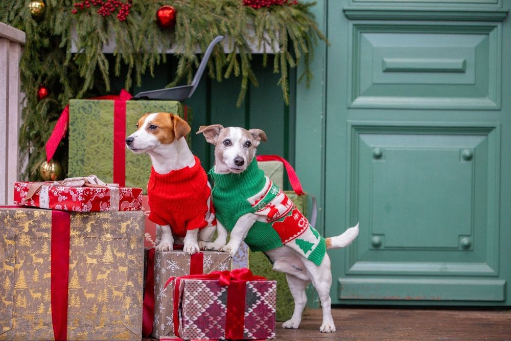 Photograph by Ольга