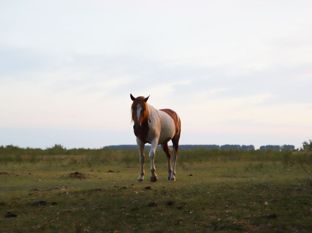 Фотография автора Татьяна Салиева