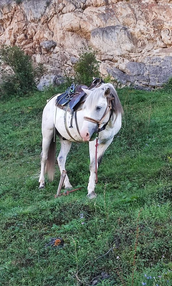 Photograph by Полина Скурская