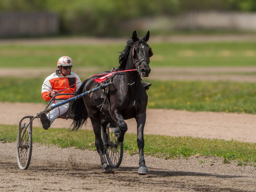 Фотография автора Вадим Серебреников